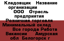 Кладовщик › Название организации ­ O’stin, ООО › Отрасль предприятия ­ Розничная торговля › Минимальный оклад ­ 17 200 - Все города Работа » Вакансии   . Амурская обл.,Белогорск г.